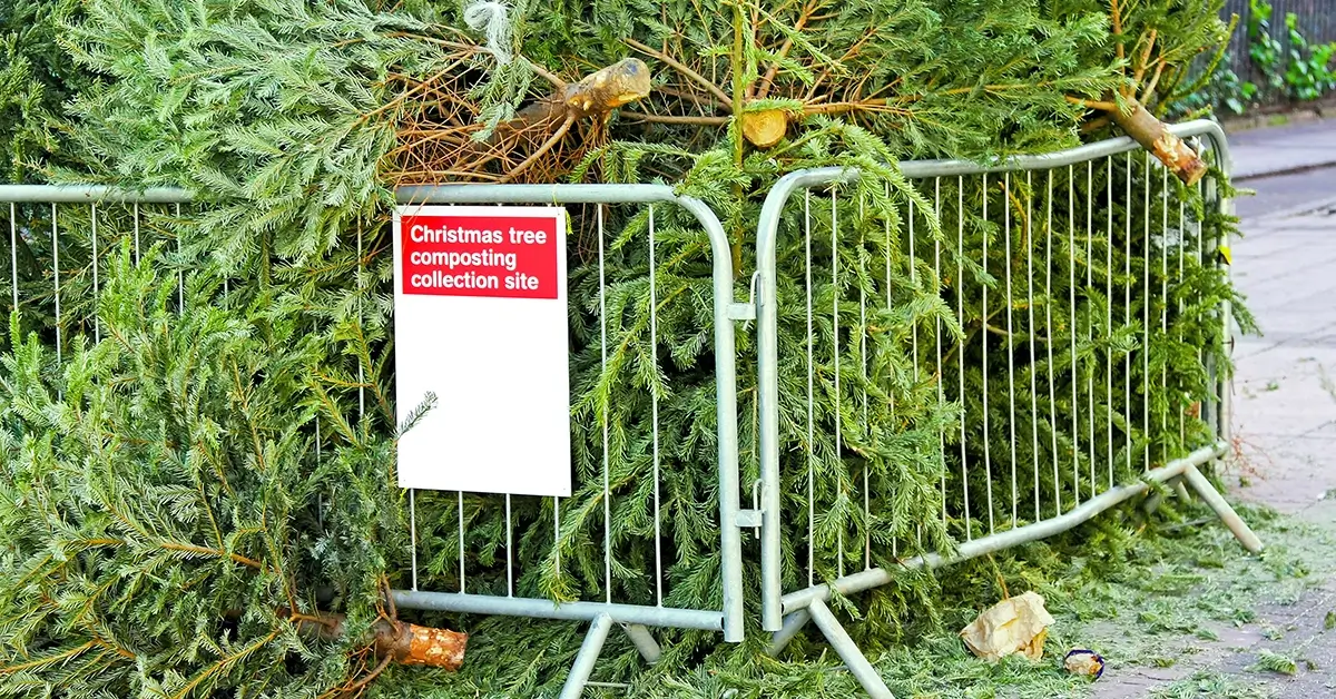 Christmas Waste Recycling