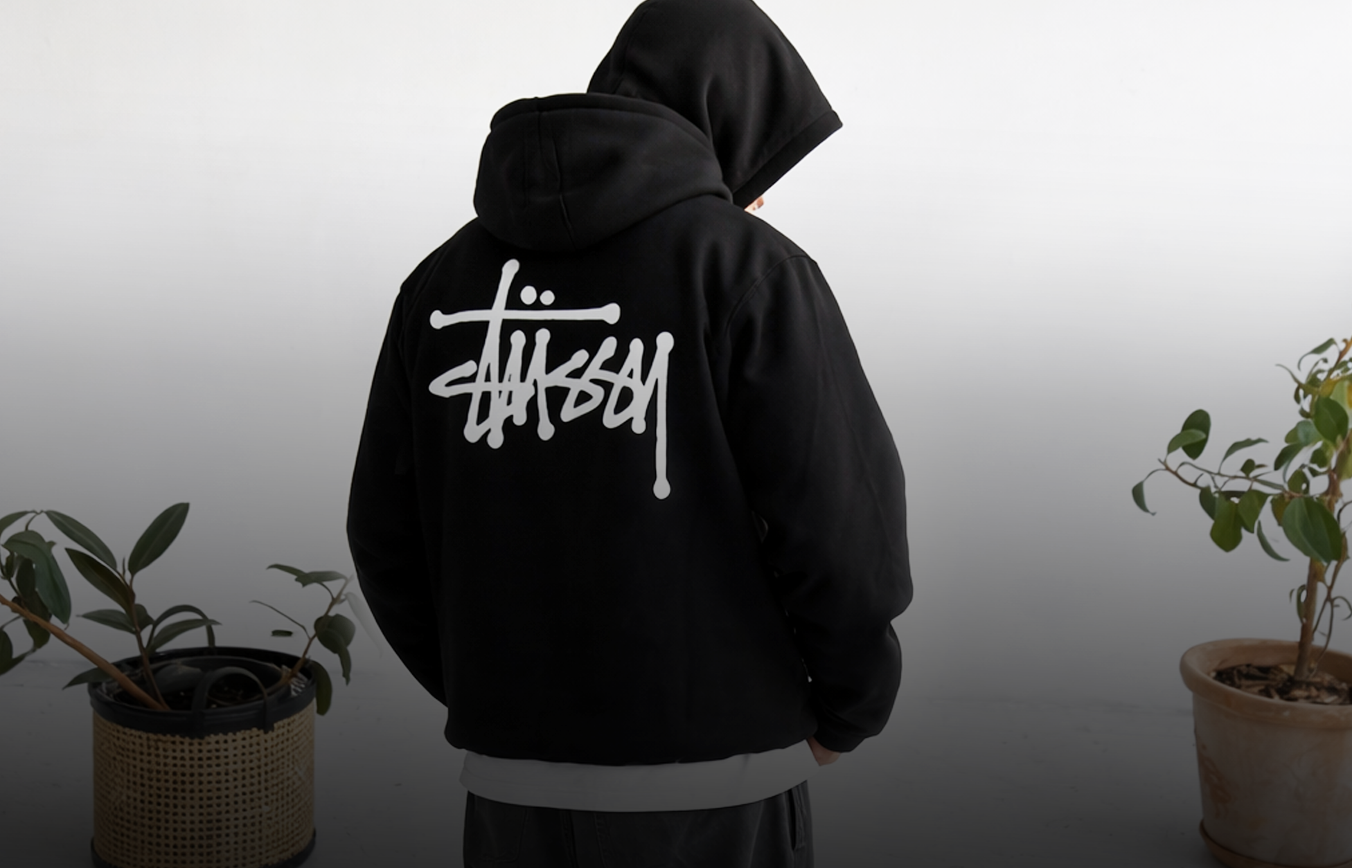 Stussy
