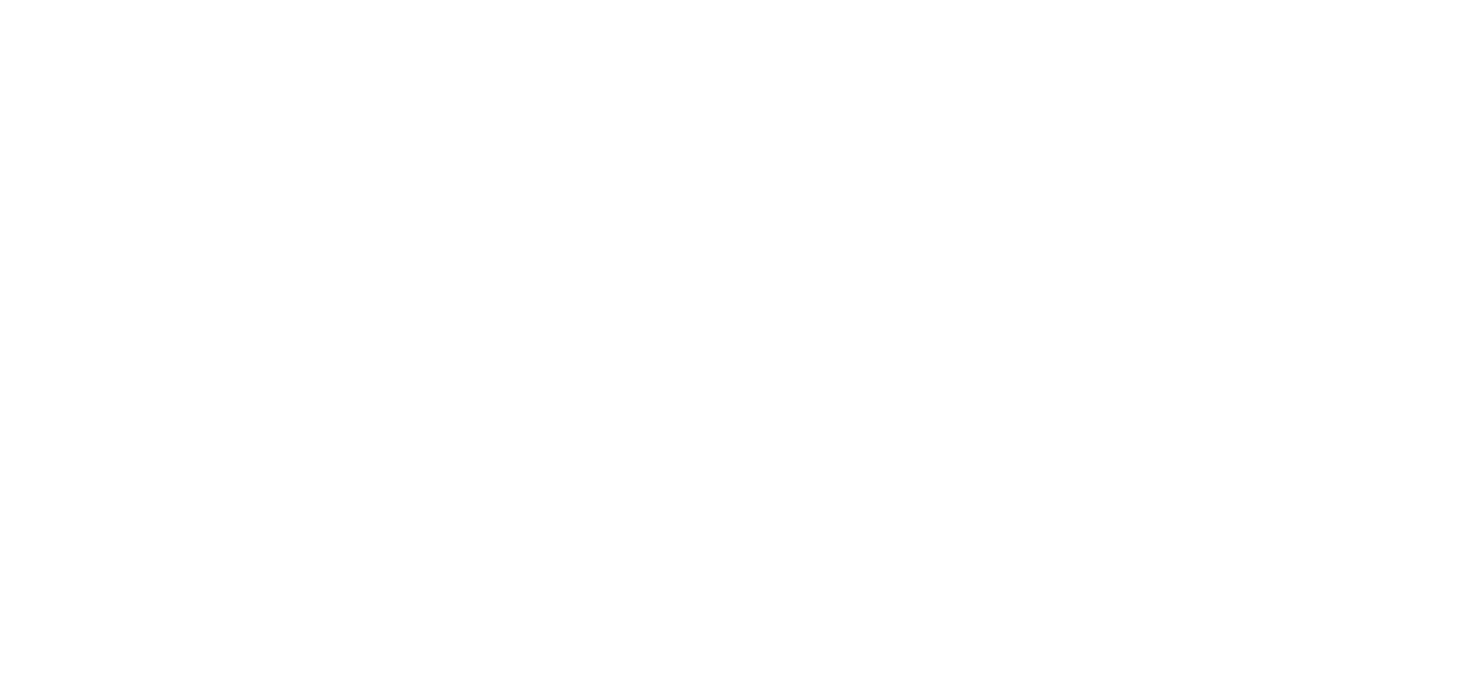 Stussy logo