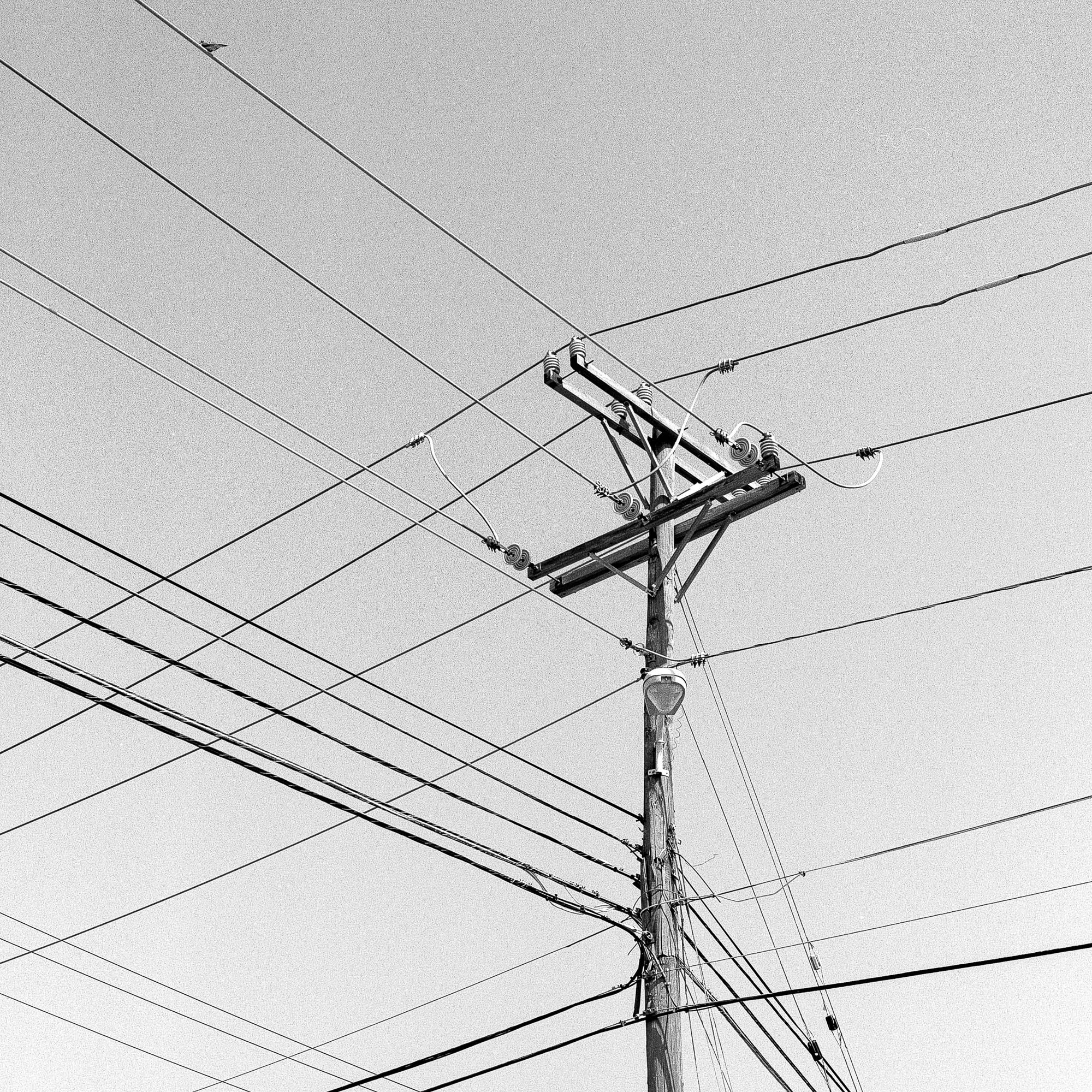 telephone pole