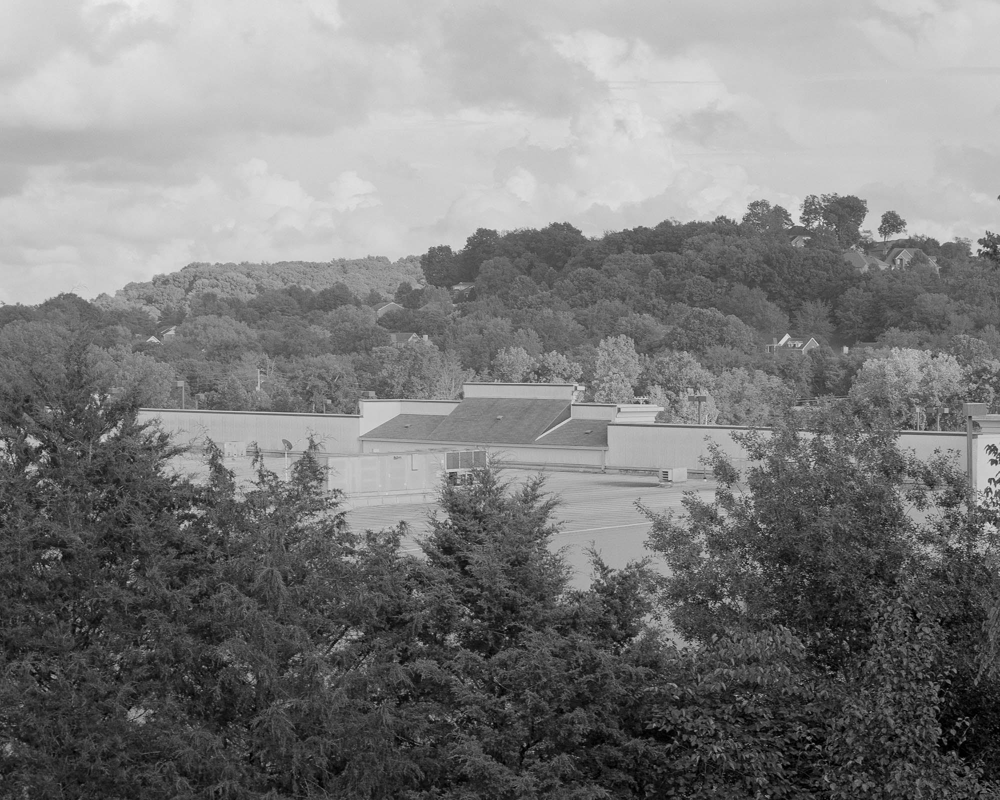 back of grocery store and trees