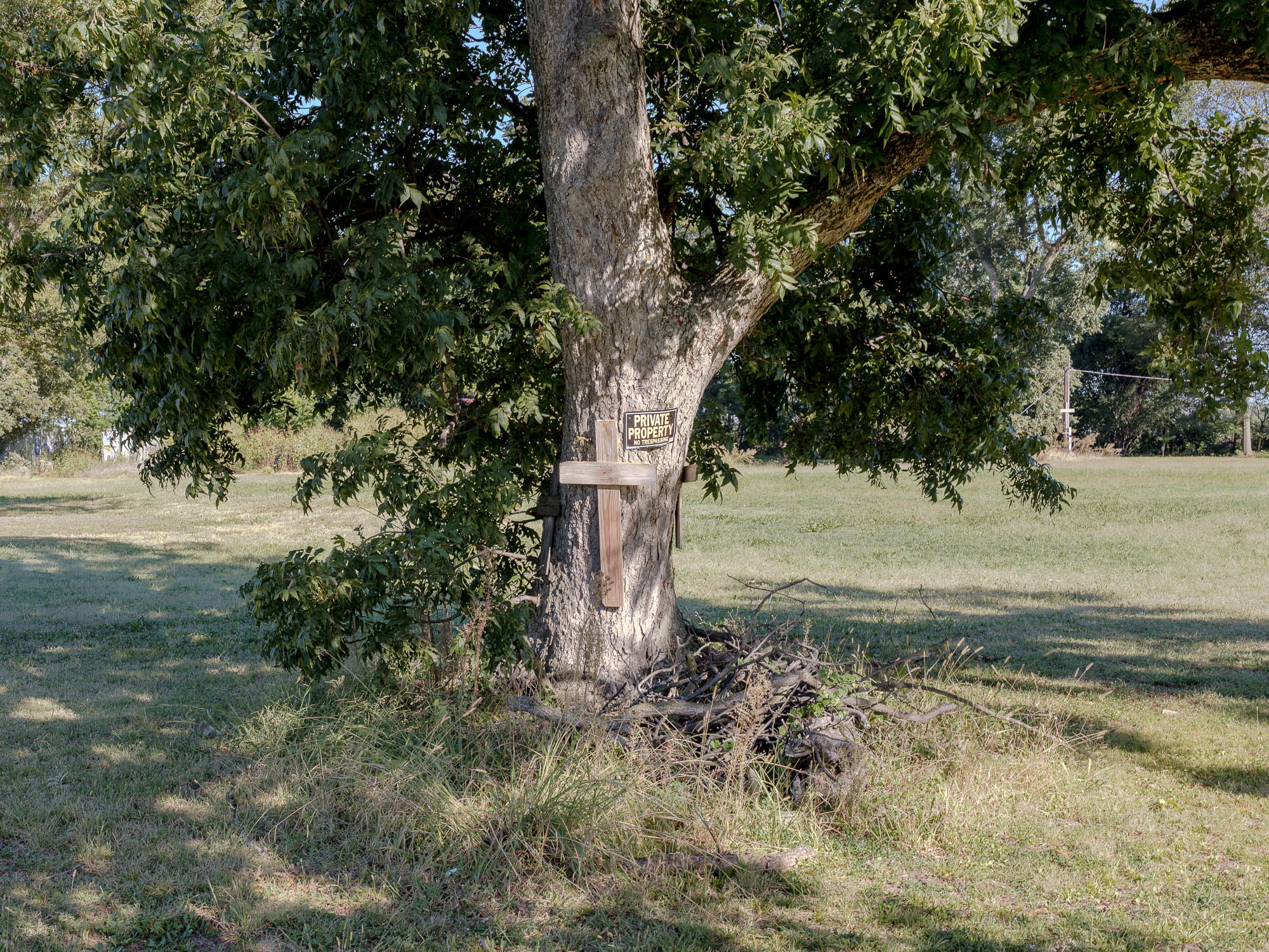 tree with cross on it