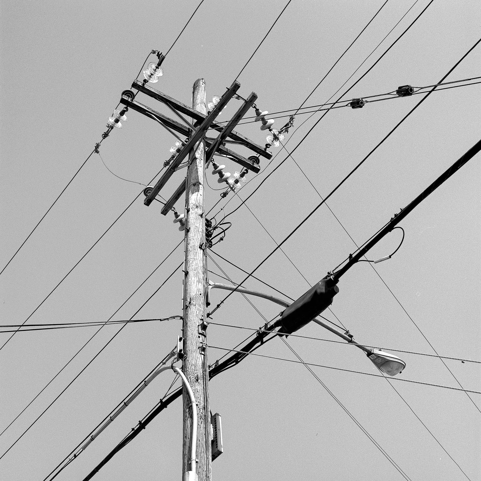 telephone poles