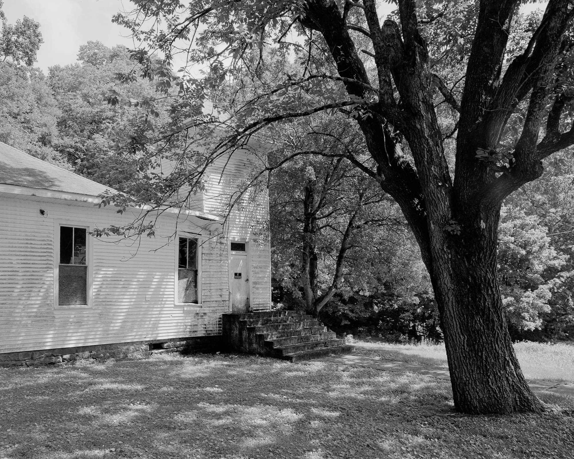 abandoned church and tree