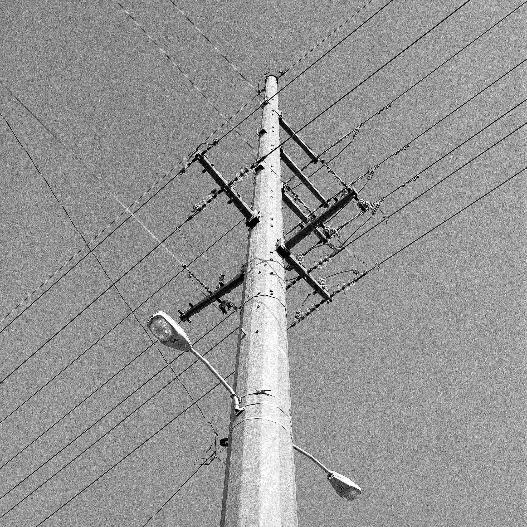 telephone pole