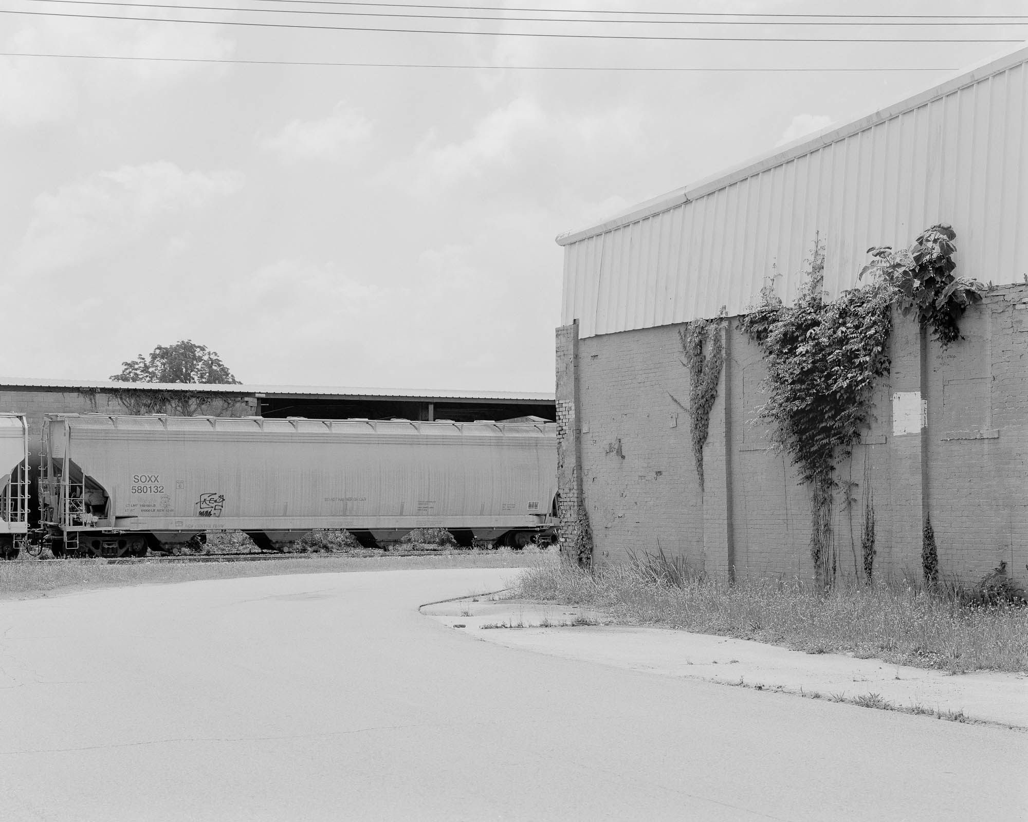 train and wall with vines