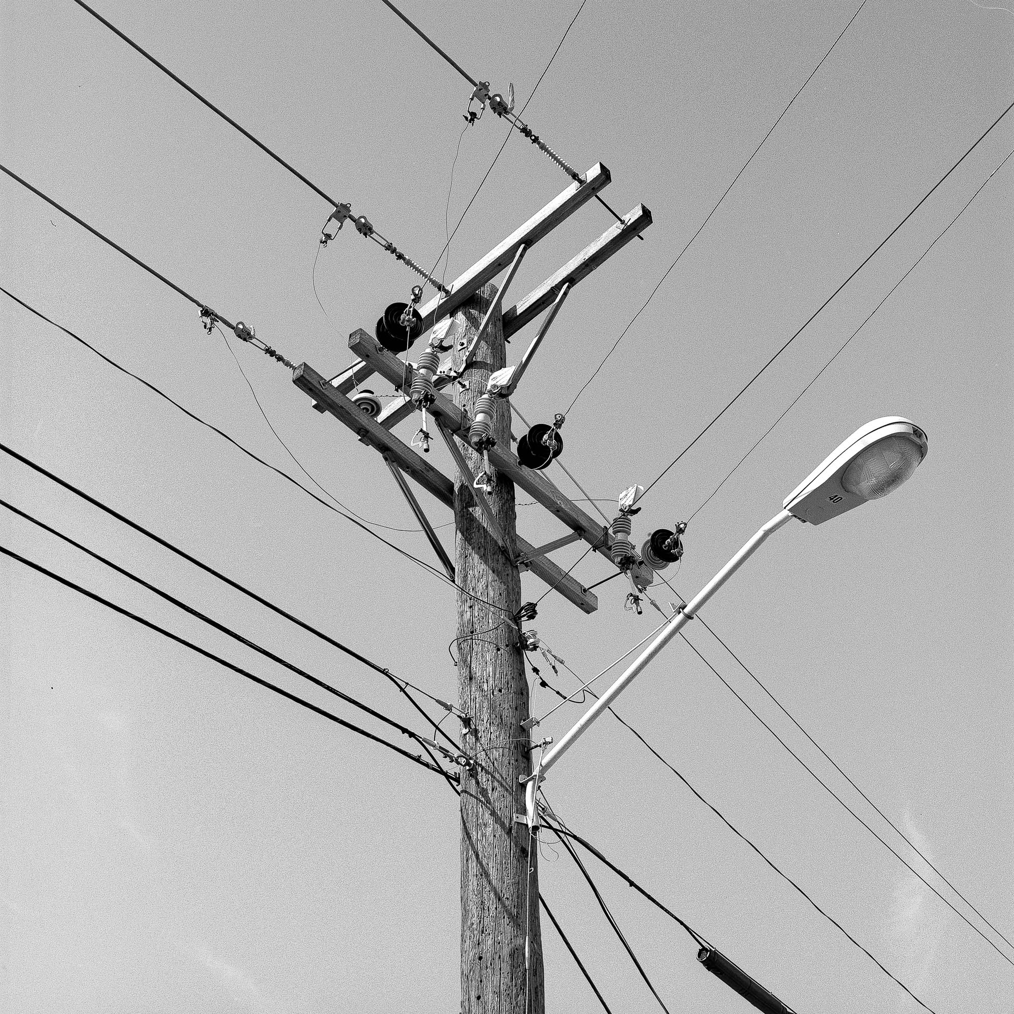 telephone pole