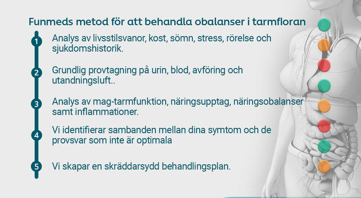 Behandlings tarmfloran och klimakteriet