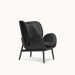 Embrace Armchairs Armchair in 99999