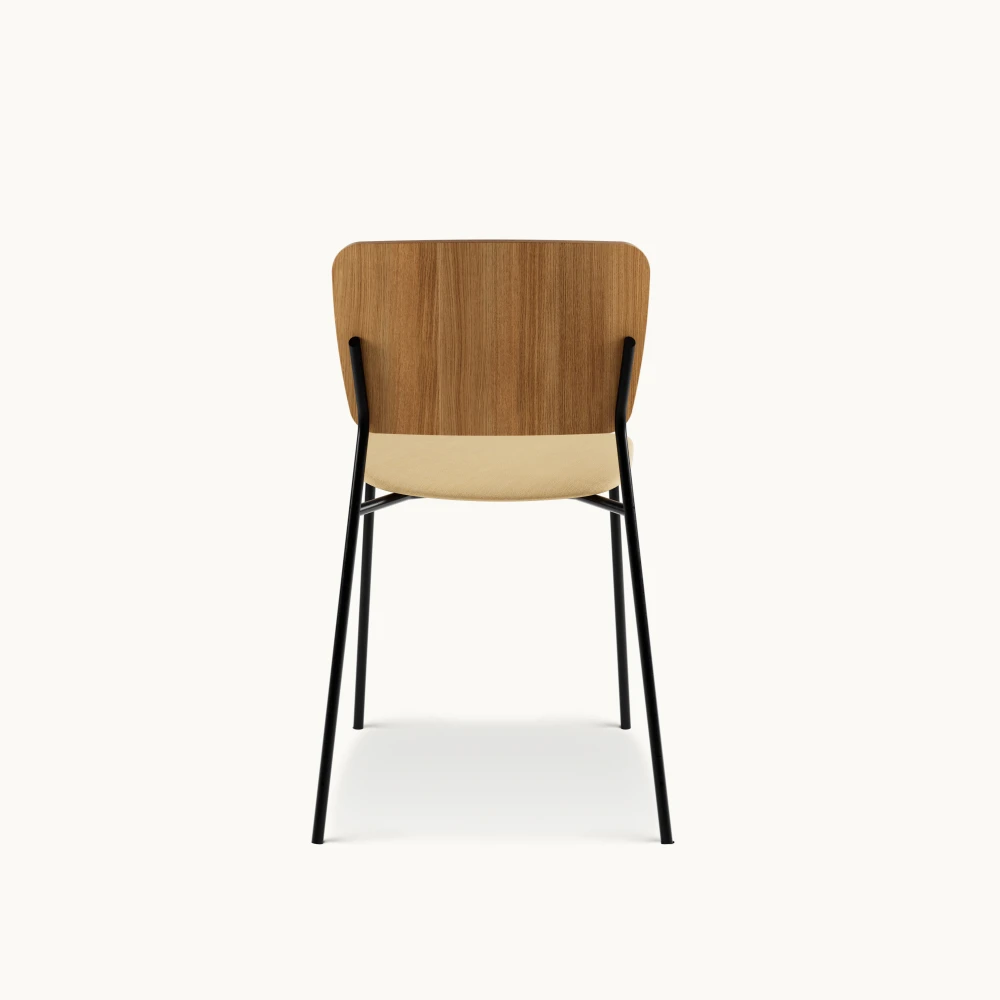 Mono Chairs Chair in 220