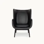 Embrace Armchairs Armchair in 99999