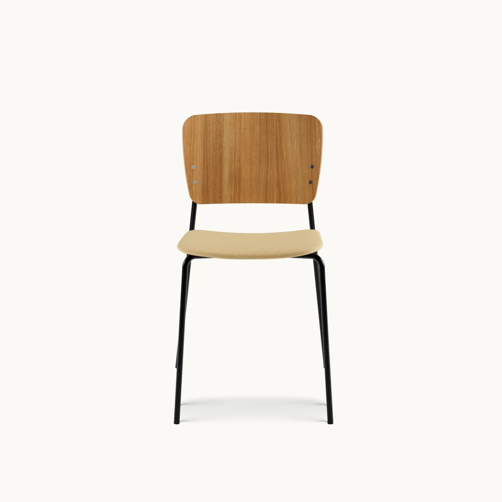 Mono Chairs Chair in 220