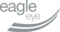 eagle-eye-logo