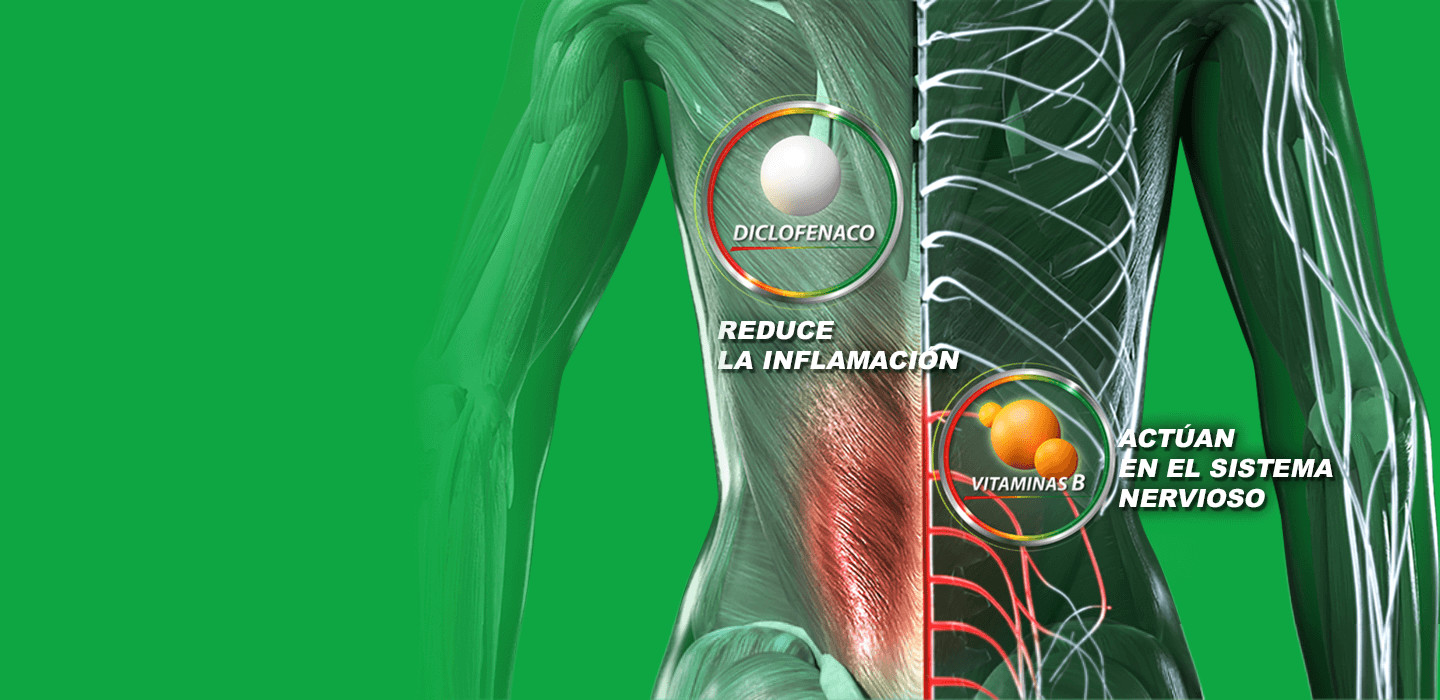 Gráfico del cuerpo humano con efectos de la vitaminas B en el sistema nervioso y del diclofenaco en reducción de inflamación