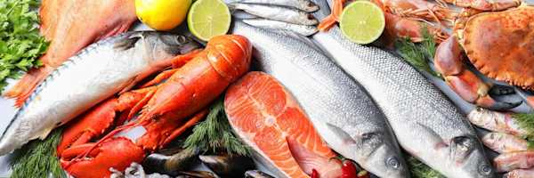 9cb3e3c3-6689-4a37-b1c7-495b5b1522d2. CR0,0,2500,833 SX1500 -1