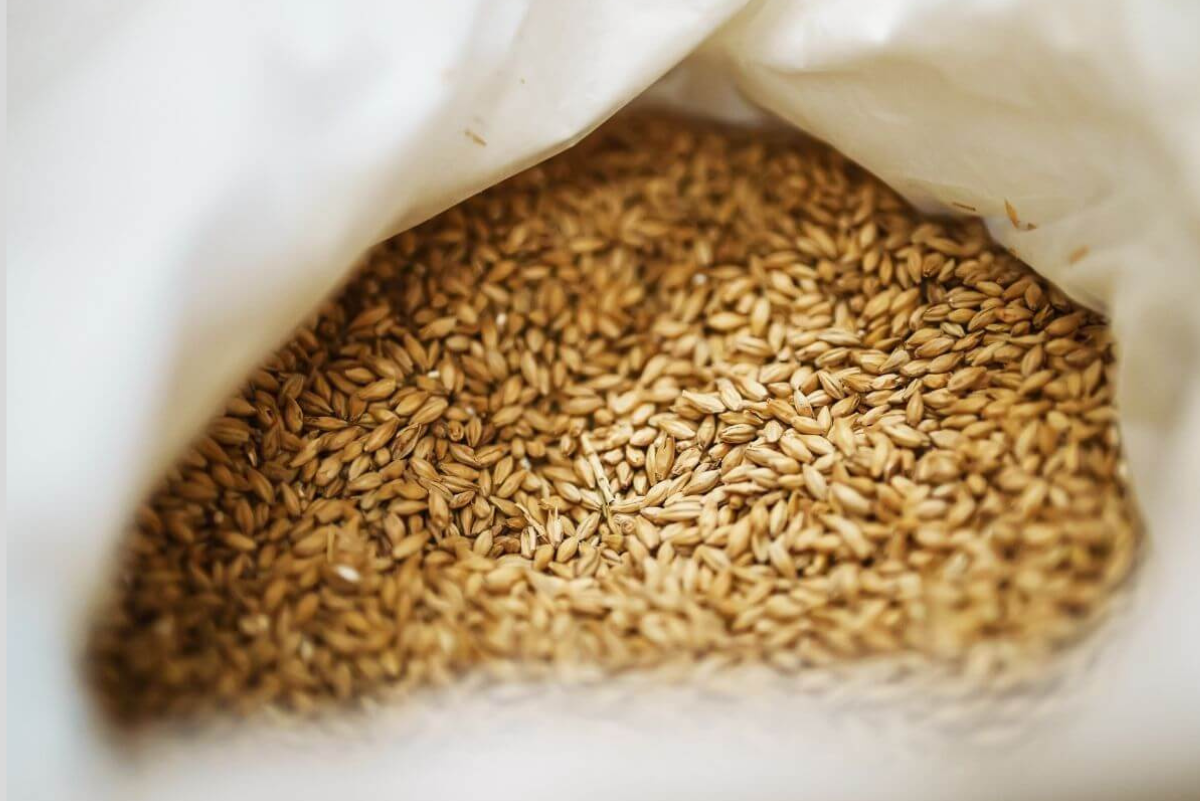 one malt