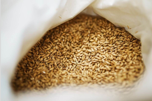 one malt