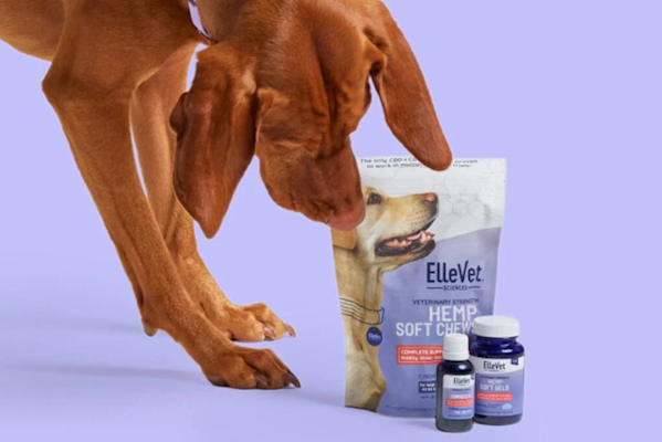 ellevet