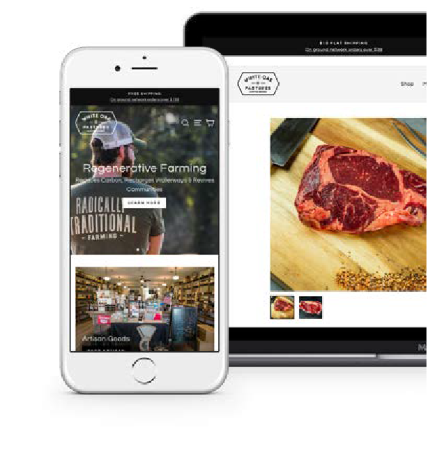 White Oak Pastures Case Study Image 2