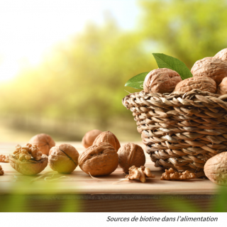 walnuts: a dietary source of biotin