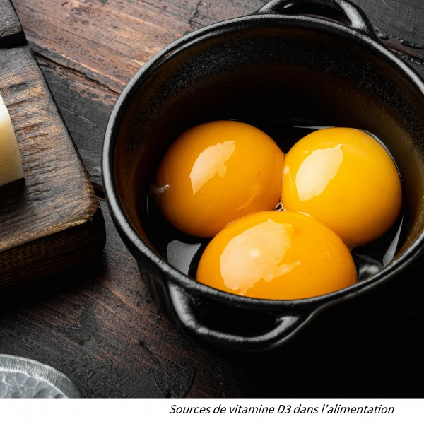 le jaune d'œuf : une source alimentaire de vitamine D3