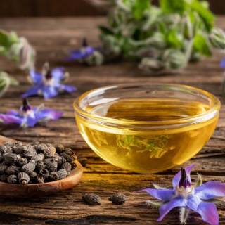 un bol contenant une huile jaune, à côté d'une feuille de fleur de bourrache bleue