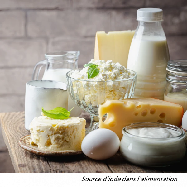 produits laitiers source d’iode dans l’alimentation