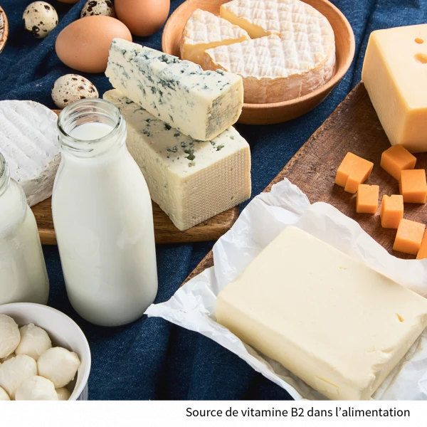 dairy products, a source of vitamin B2 in the diet