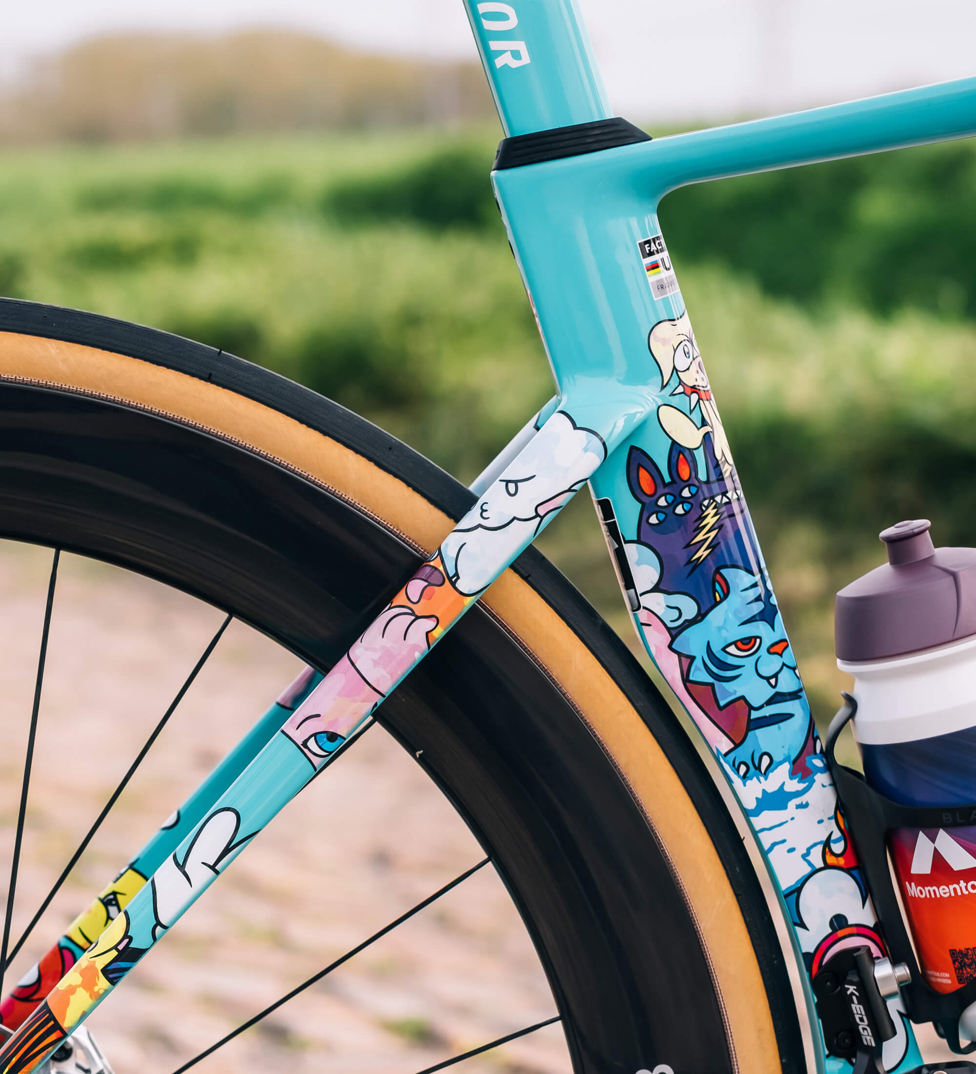 Close-up view of the MONZA VEXX Edition seat tube and seat stays where several of the doodles can be clearly seen. The bike is sitting on a section of a French cobbled road with green grass in the background. The sun is shining.