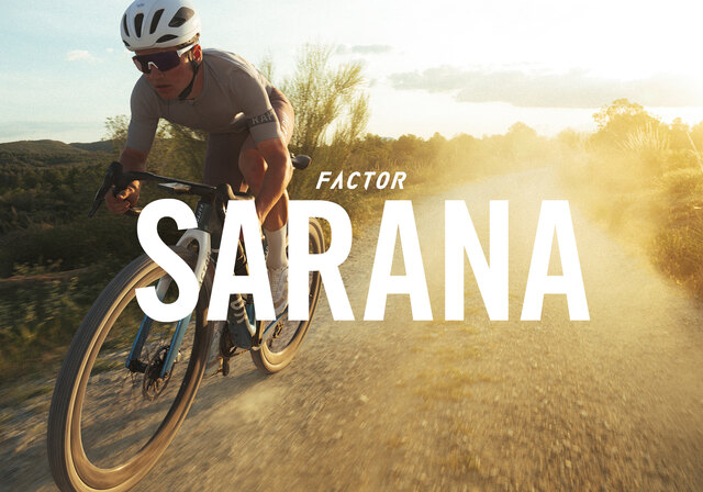 Factor Sarana