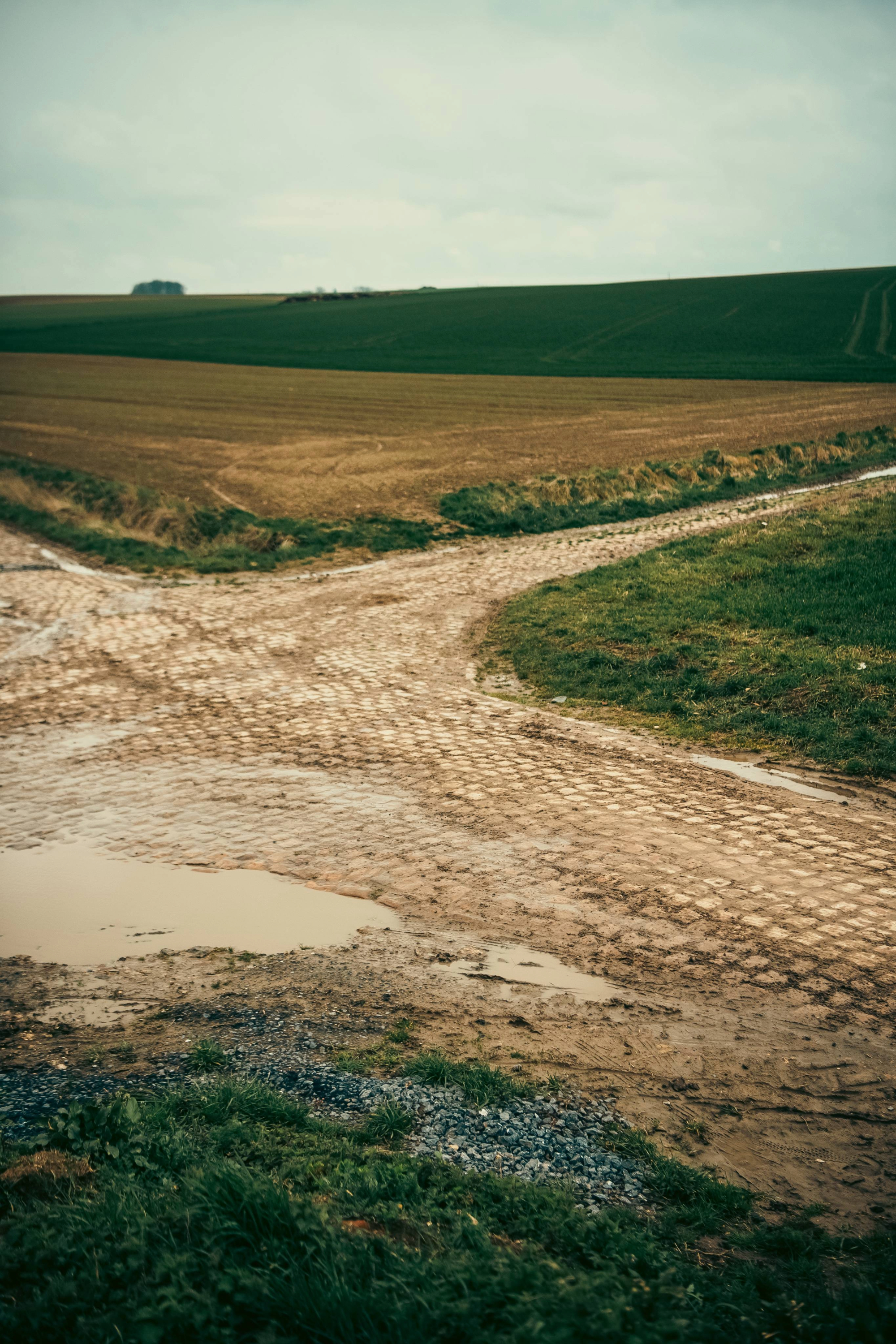 Photo of a dirt and cobble section of the Paris - Roubaix Course.