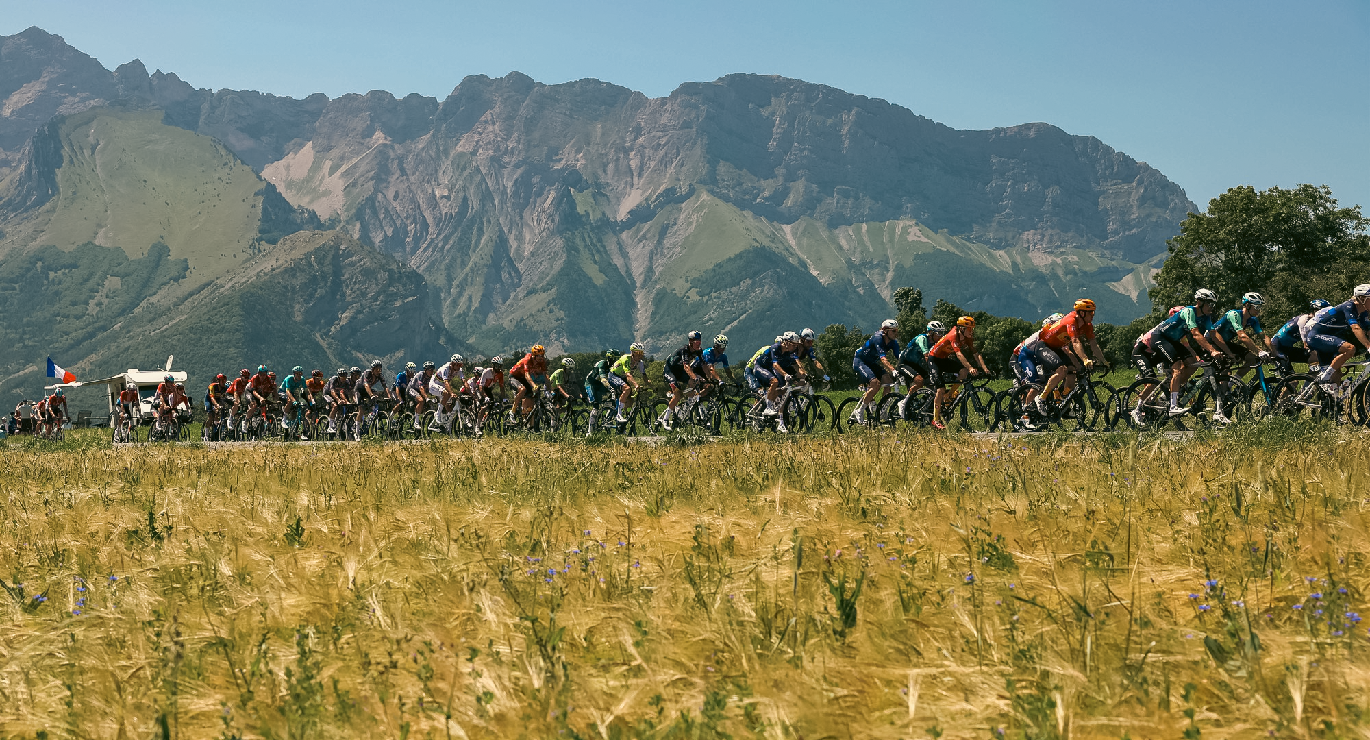 2025 TdF Diaries