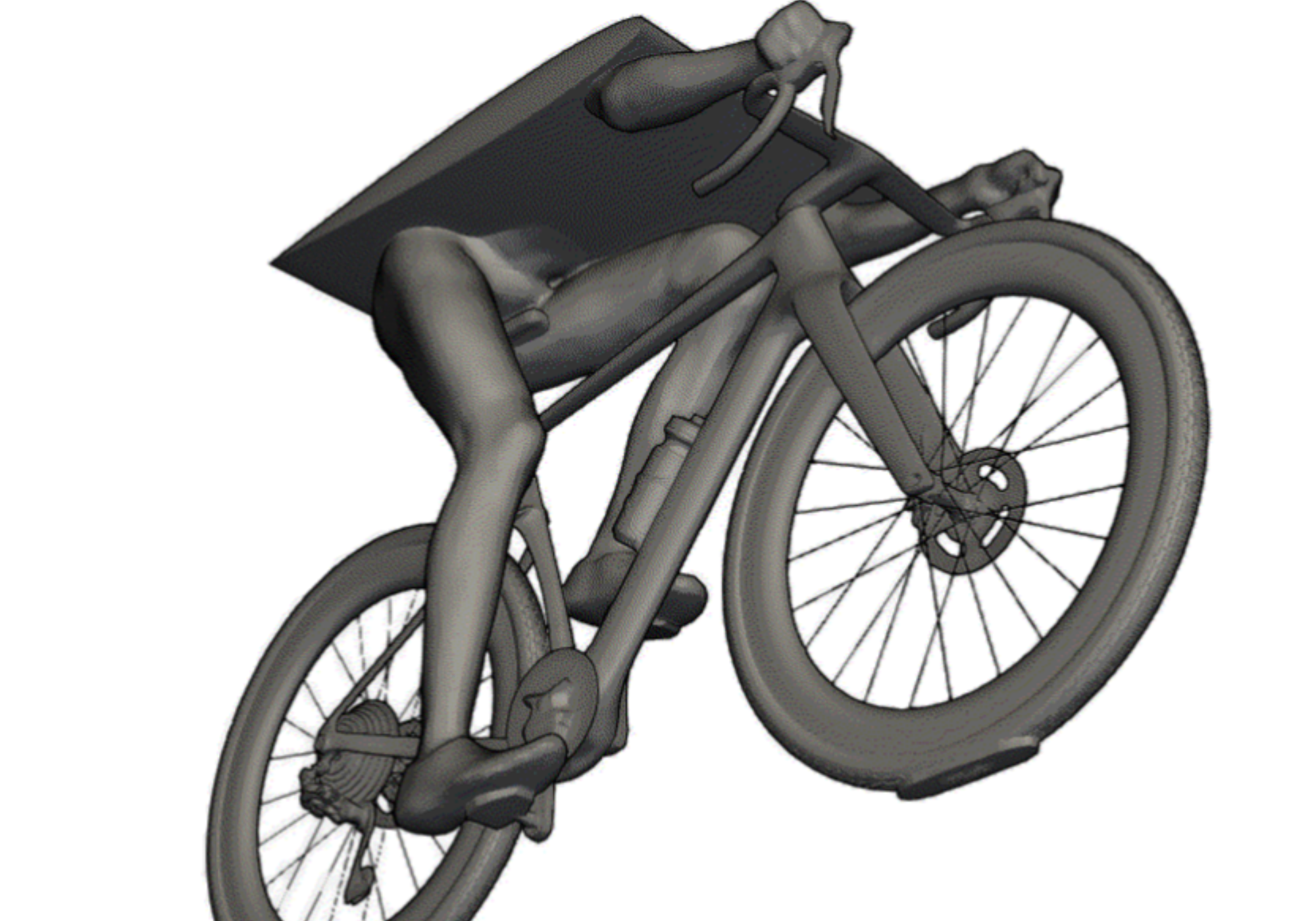 ELARA CFD model