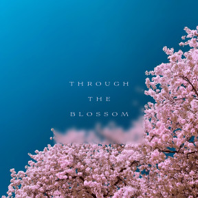 Through The Blossom album artwork