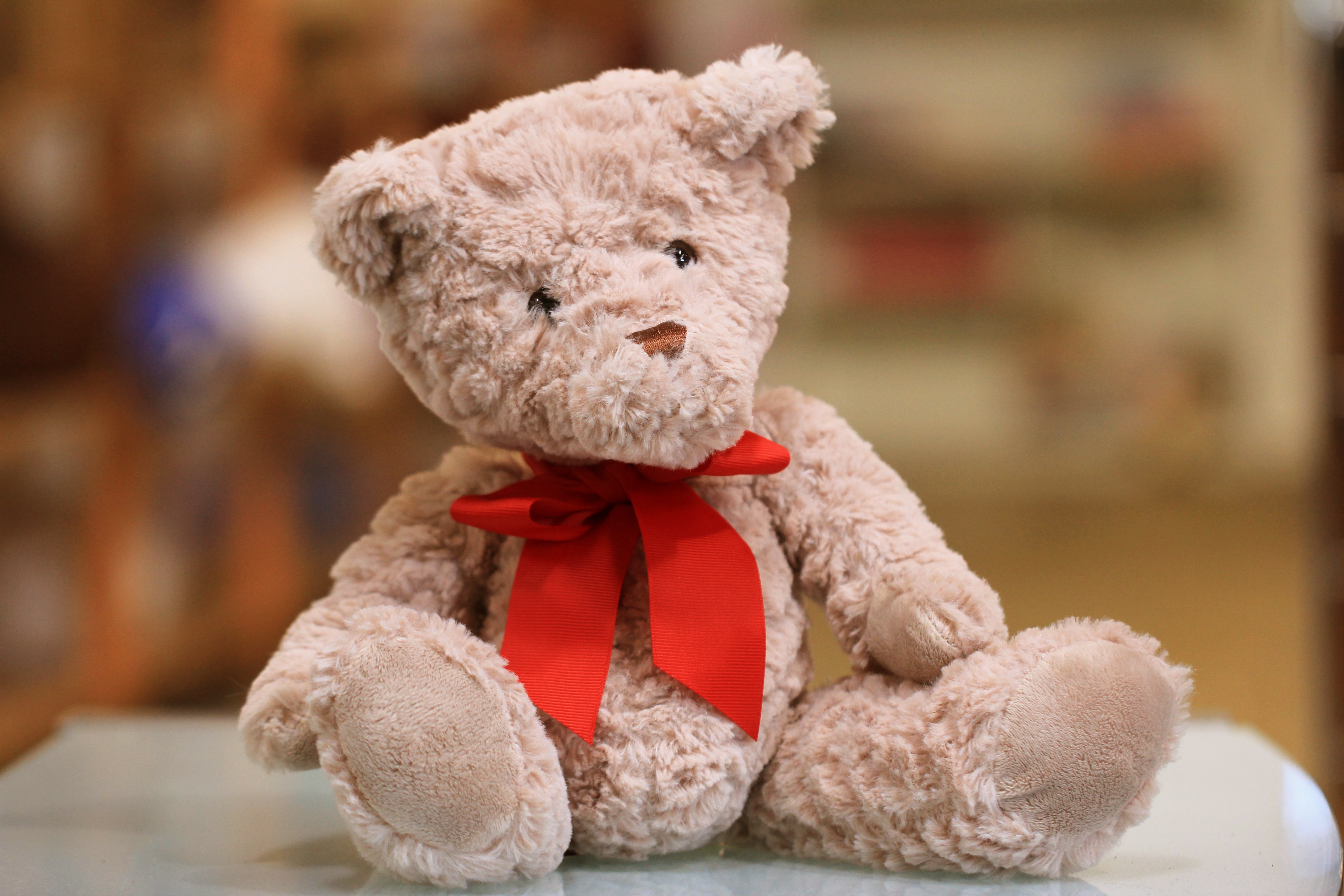 teddy house central world