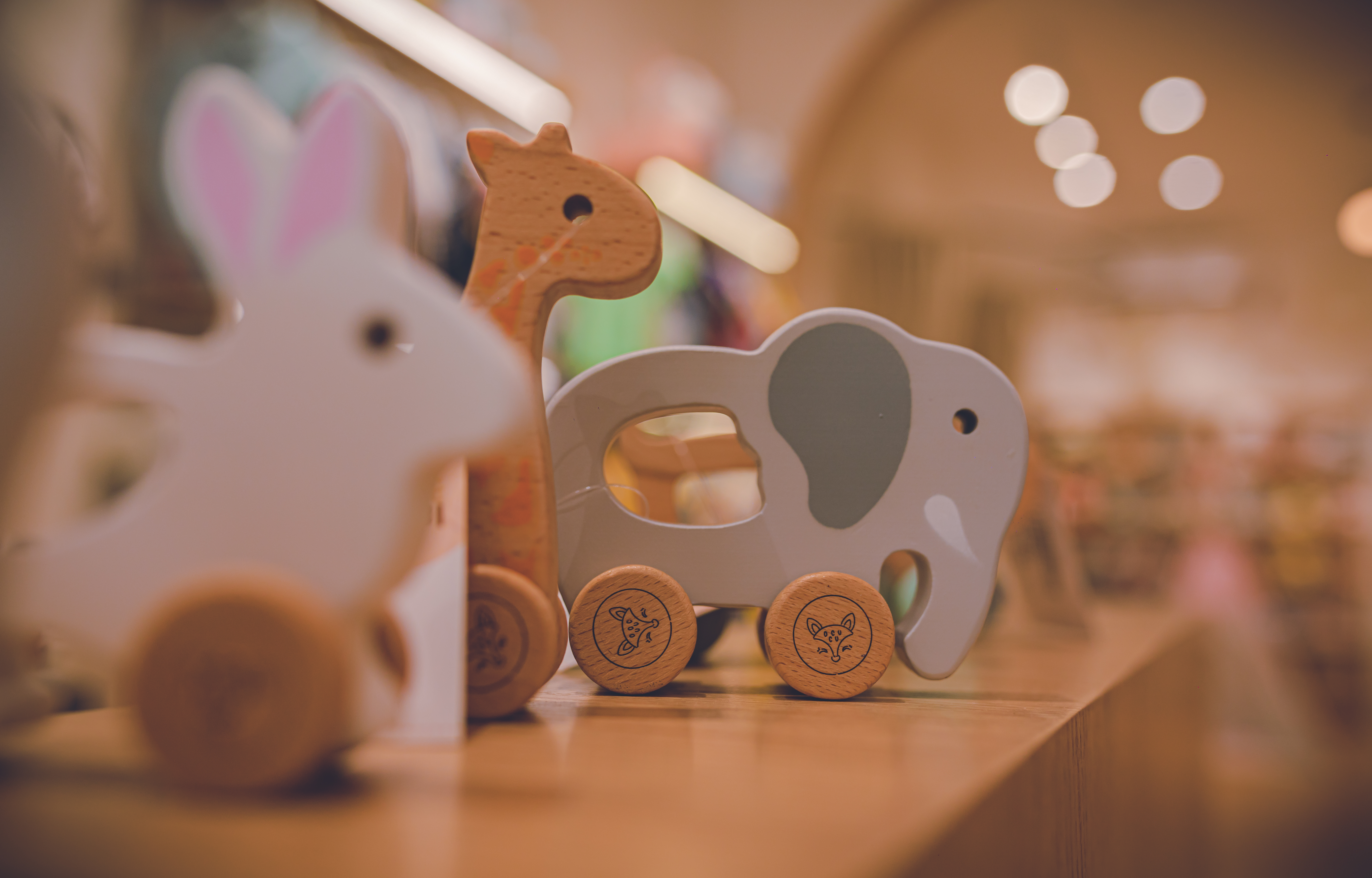 Ambience Photography