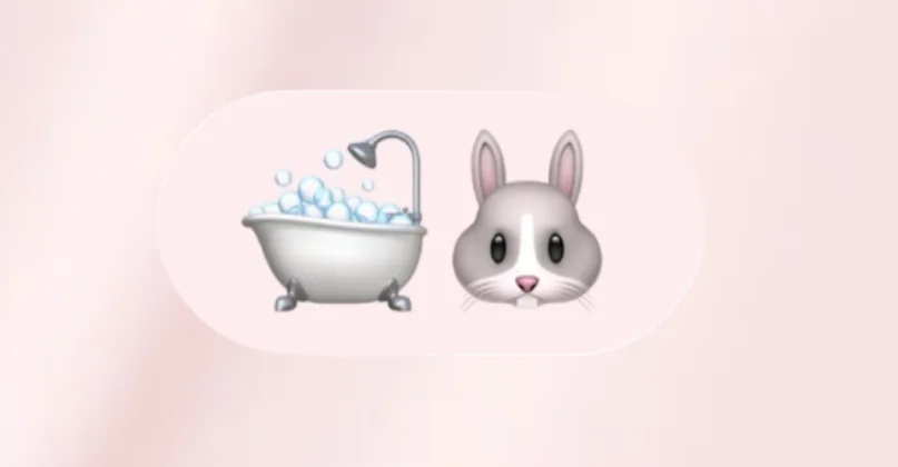 FUNNY BUNNY TEASER FUNNY BUNNY TEASER