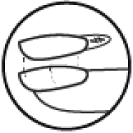 Built-in Sticky Tabs Built-in Sticky Tabs