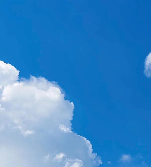 See all Wella Company Safety Data