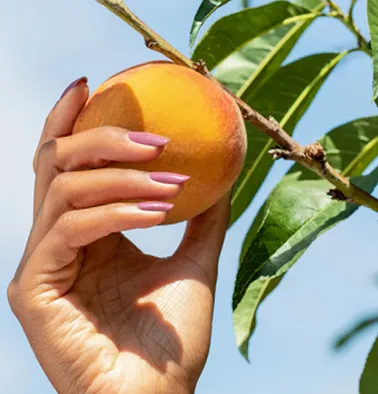 Pro Tips: Nature Strong