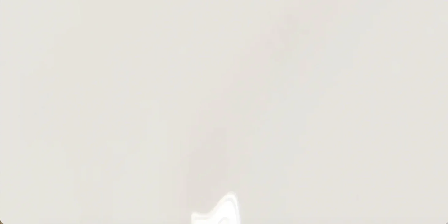 Funny Bunny®: 1 Iconic Shade, Endless Possibilities Funny Bunny®: 1 Iconic Shade, Endless Possibilities