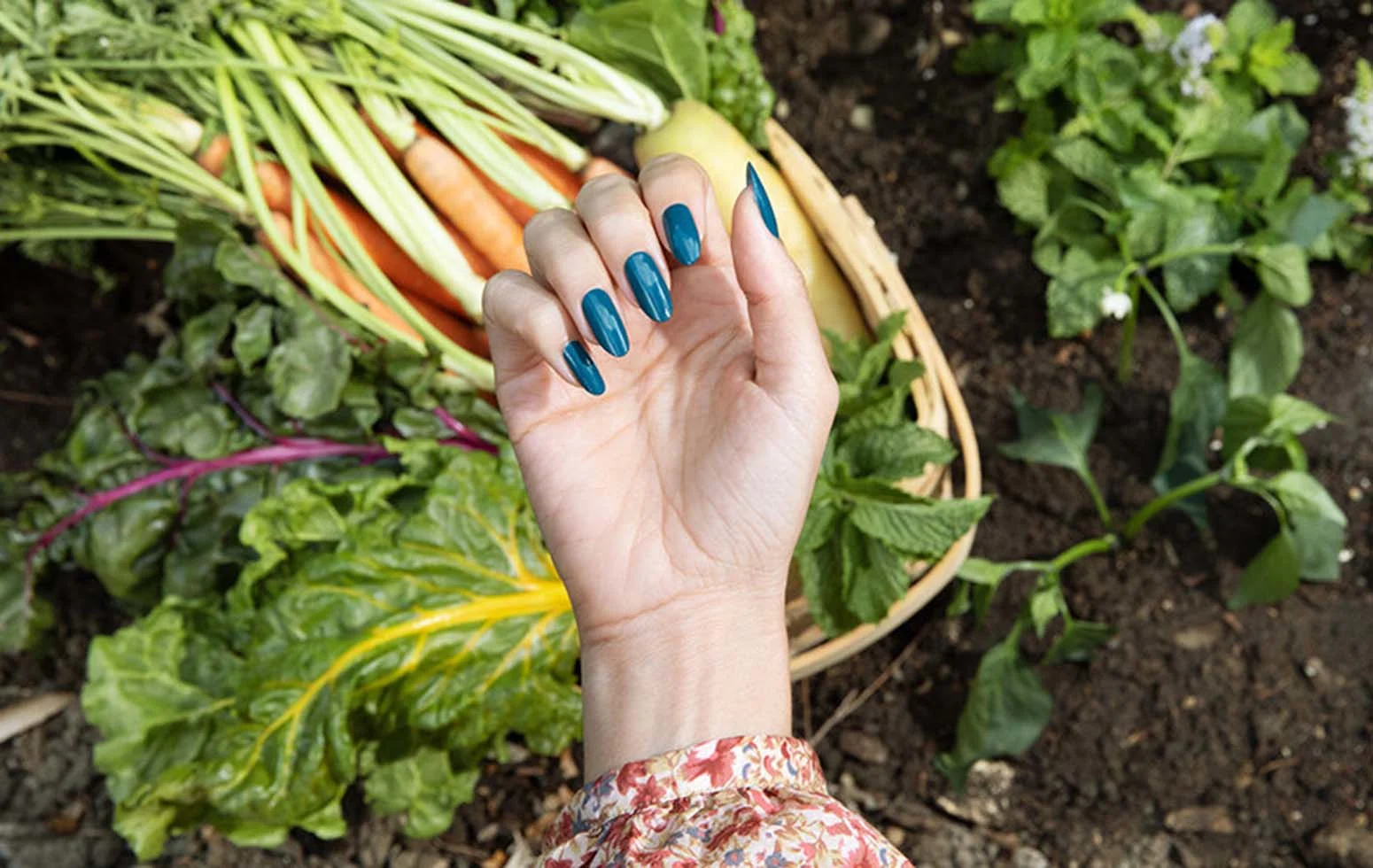 Nail Art Looks to Fall for this Season