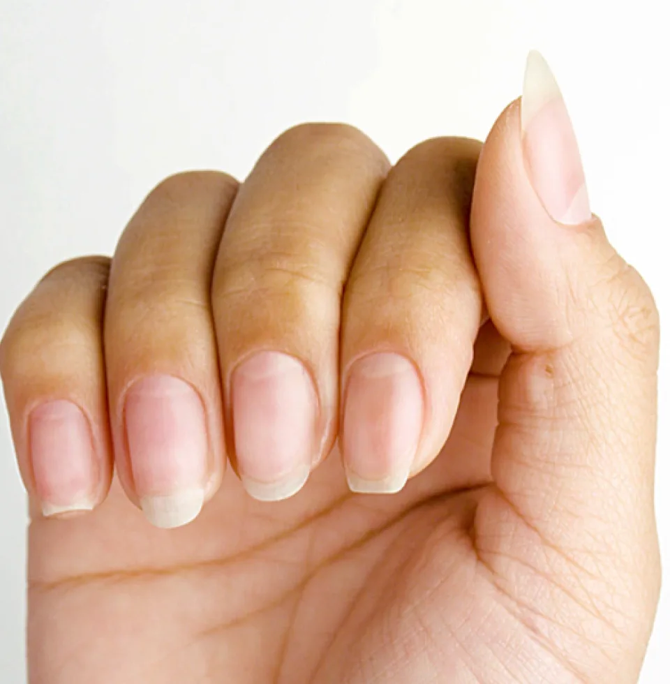 nail-anatomy-hero-desktop-left-960x980-1