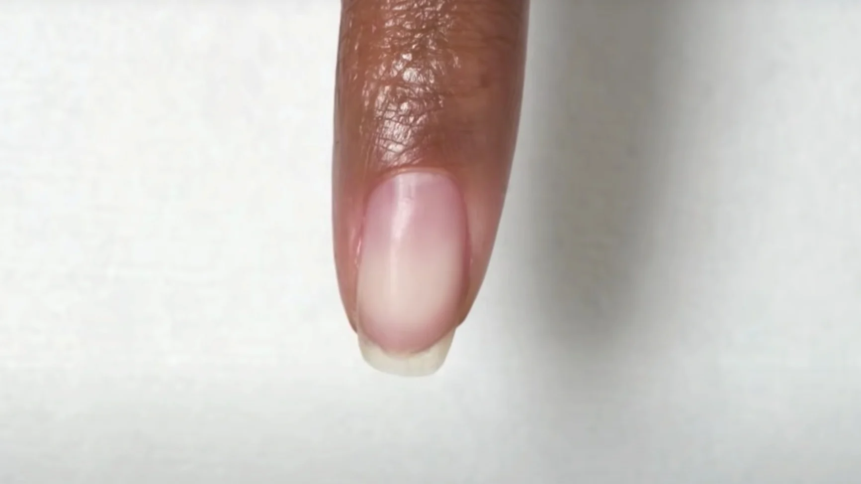 GelColor 1732x974 GelColor 1732x974