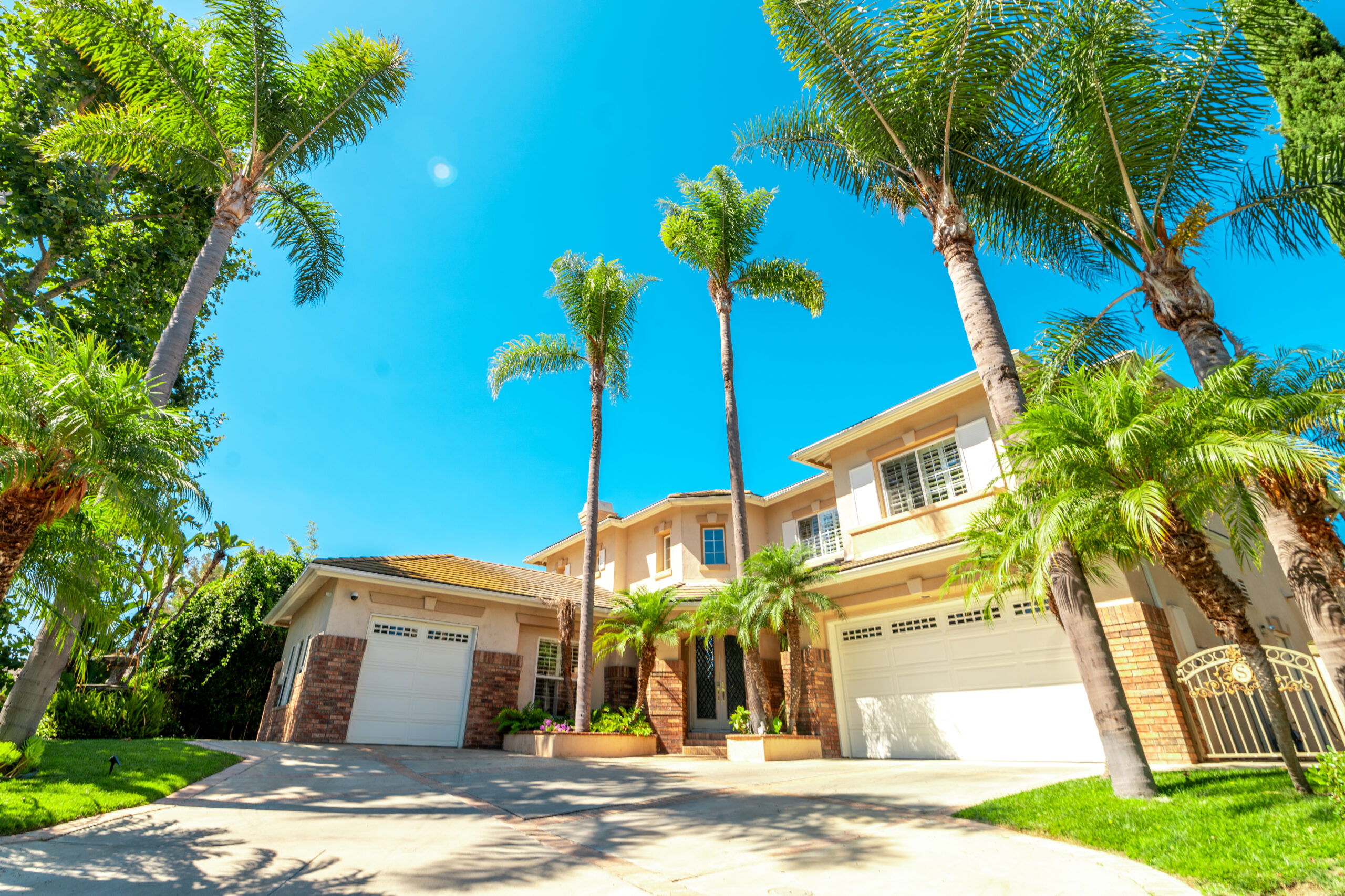 Dana Shores Recovery