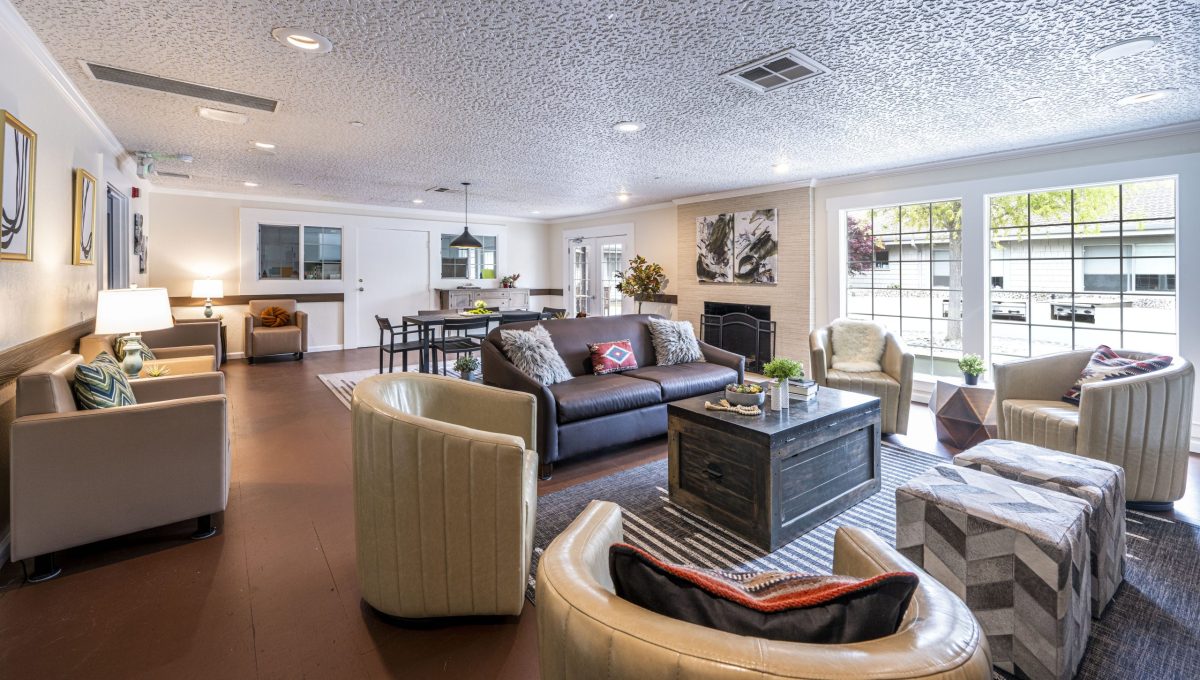 Psynergy Nueva Vista