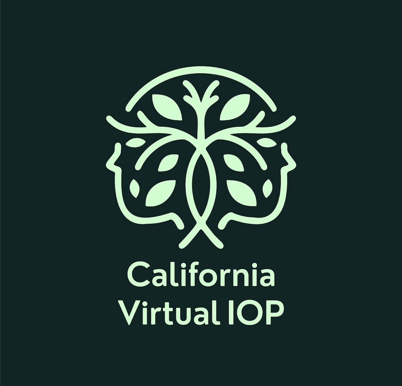 California Virtual IOP