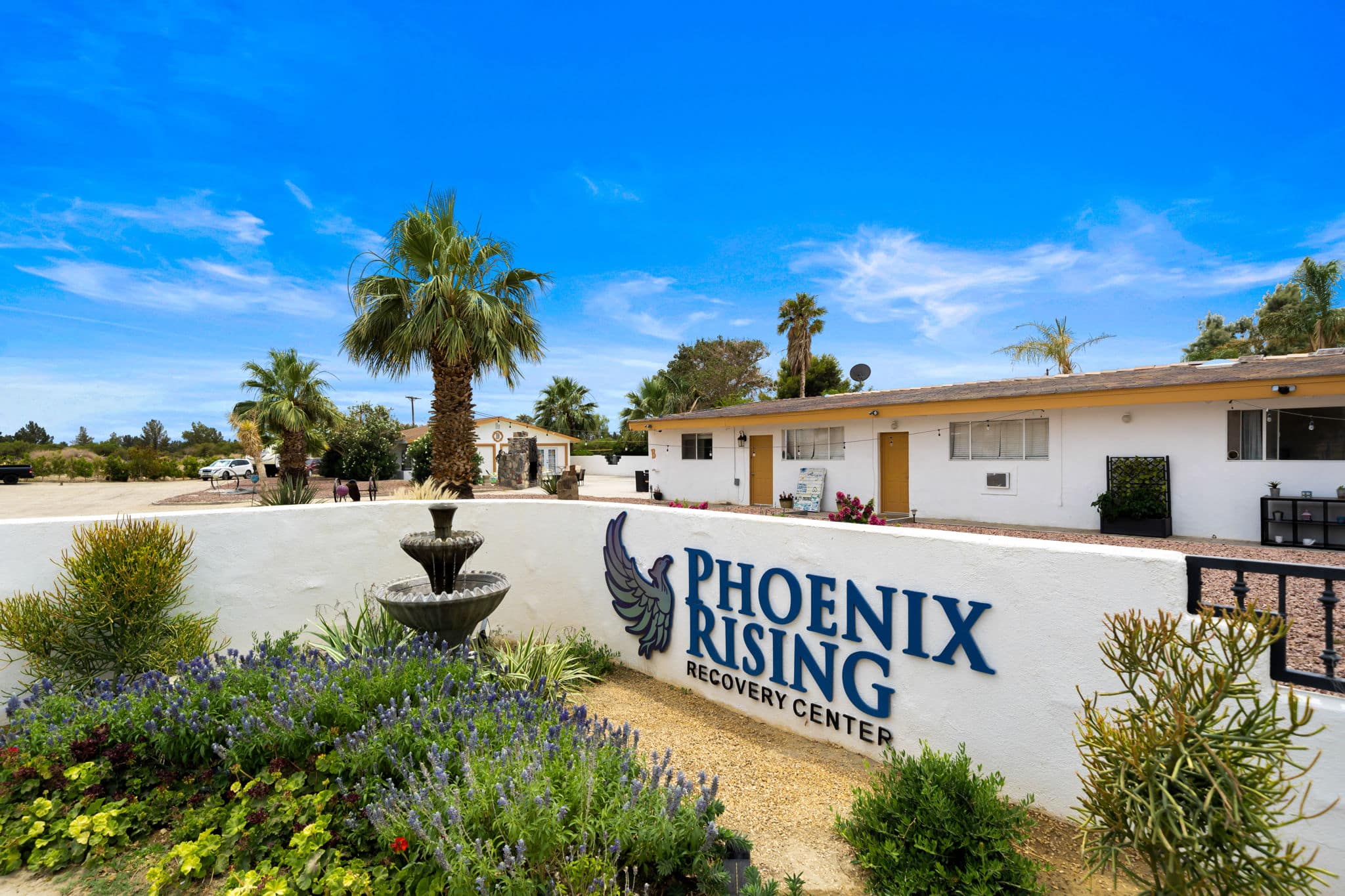 Phoenix Rising Recovery
