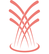 Bellagio in the Desert