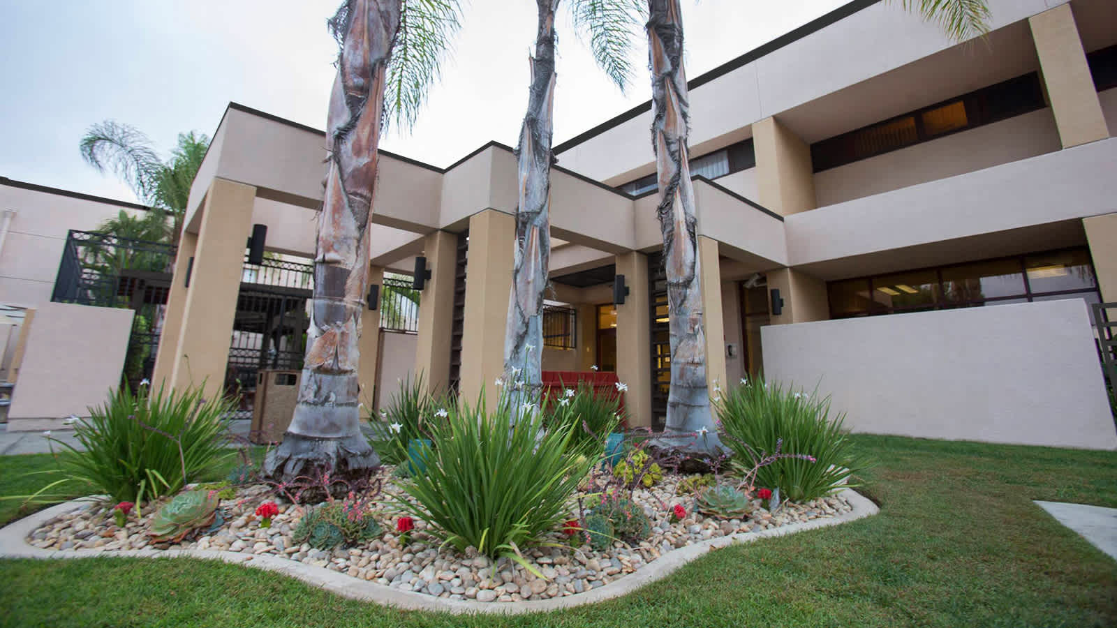 Alvarado Parkway Institute